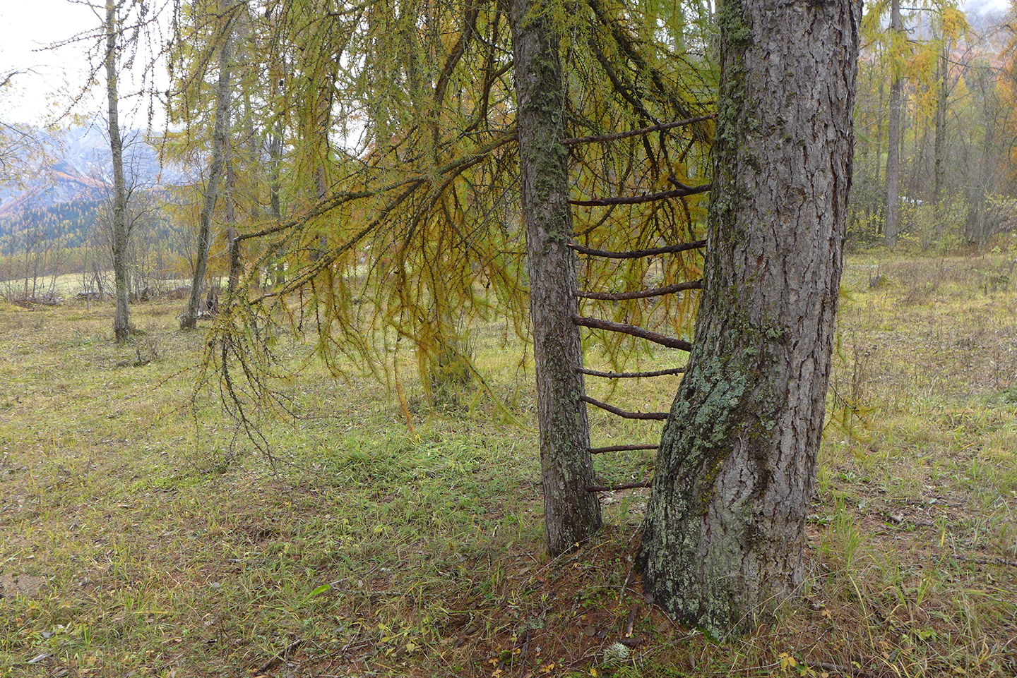 241019_Val Müstair 241019_Val Müstair